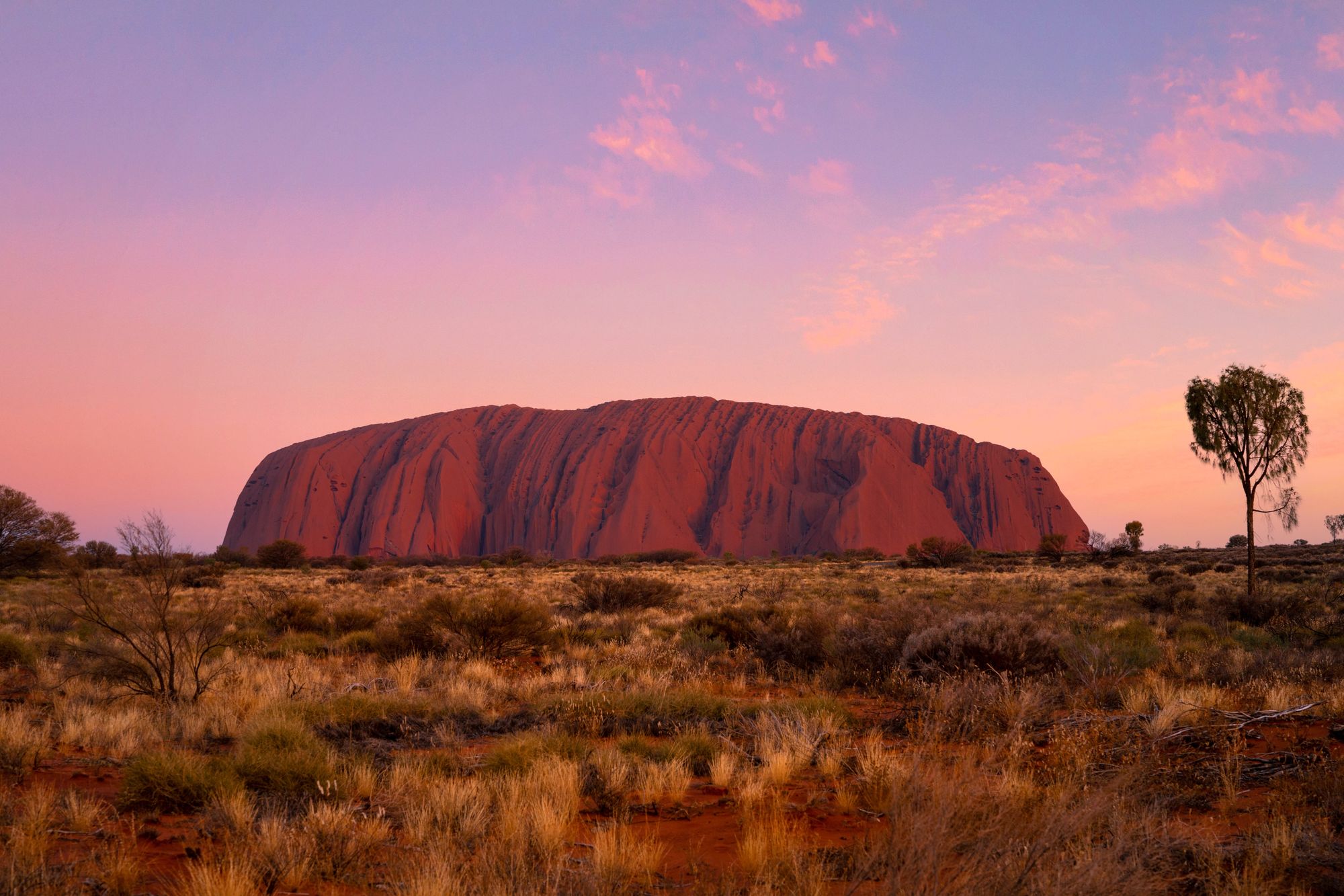 Uluru glowing deep red at sunset under a pink and purple desert sky